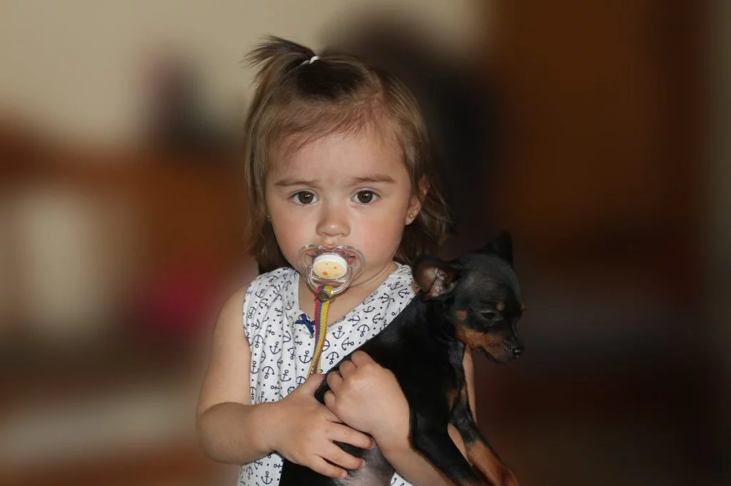 bebe