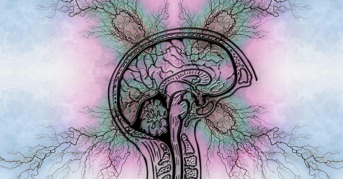 comment éviter une crise d épilepsie